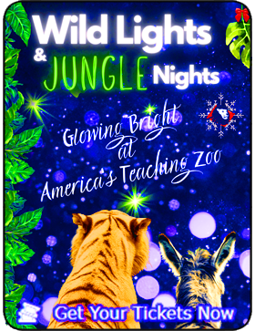 Wild Nights & Jungle Nights at America's Teaching Zoo