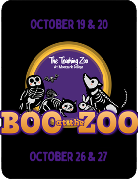 Boo at the Zoo at Moorpark College