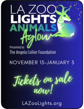 LA Zoo Lights - Animals Aglow